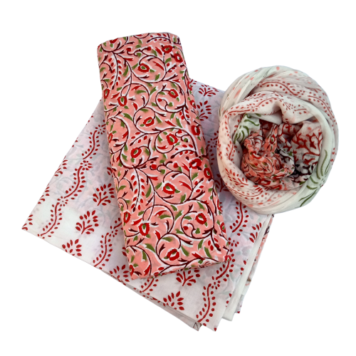 sanganeri print suit
